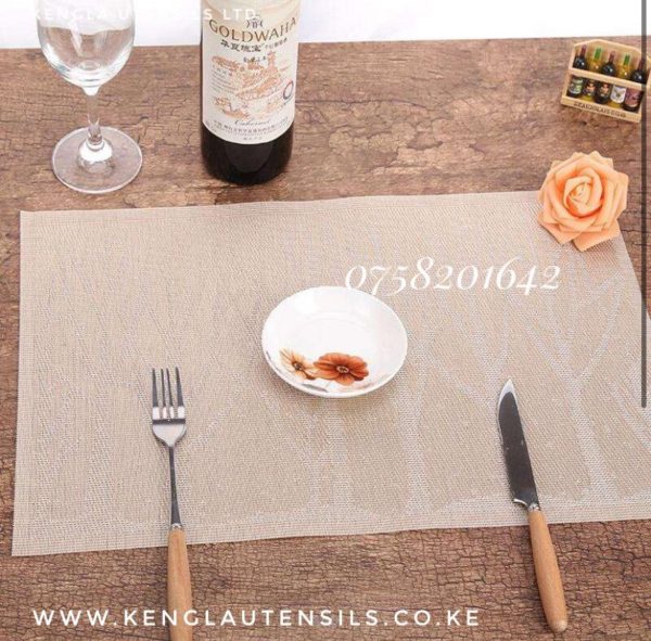 Set of 6 PVC Tablemat