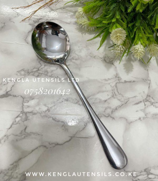 Set of 6 stainless steel silver spoon