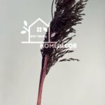 Dried dyed reeds  bunches (5 stems) Black